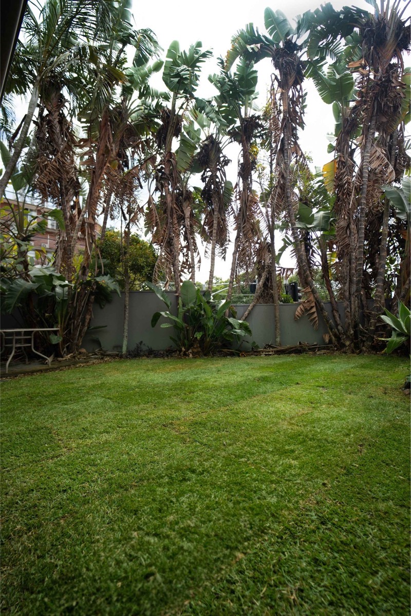 The same backyard after: fresh green turf laid edge to edge