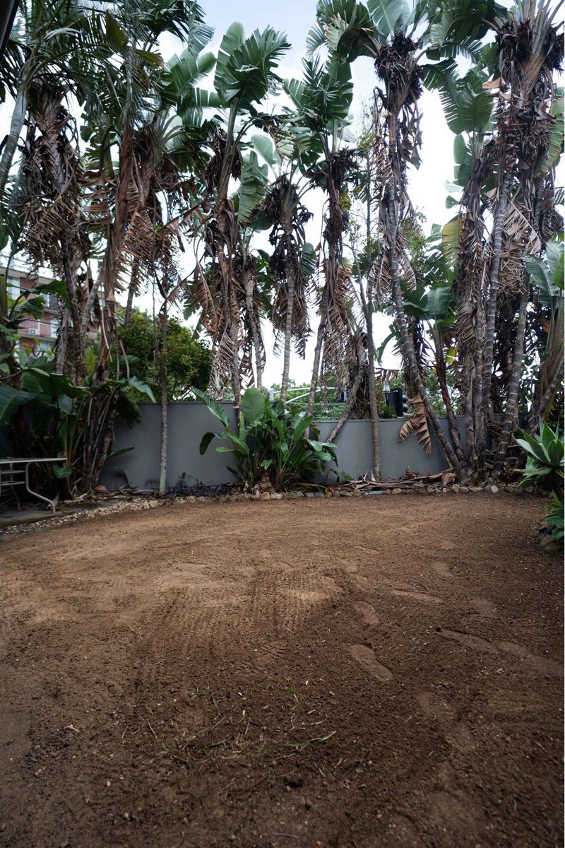 Backyard before: bare levelled soil ready for turf